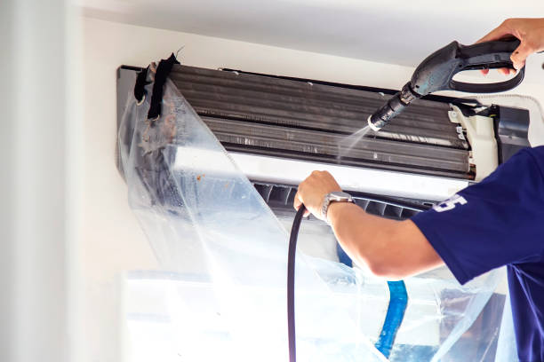 Best Affordable HVAC Duct Cleaning  in Pepeekeo, HI