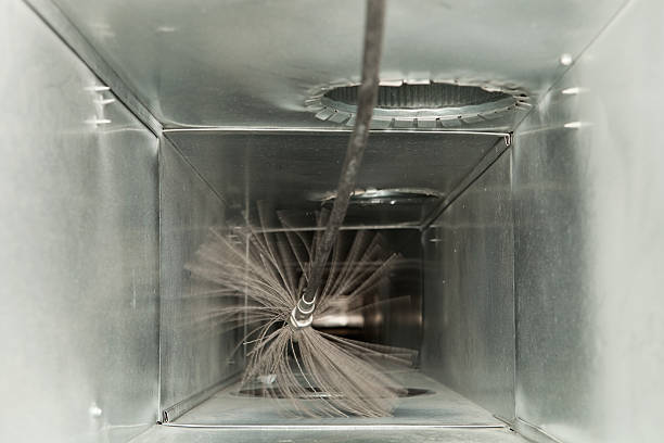 Best Ductwork Cleaning Services  in Pepeekeo, HI