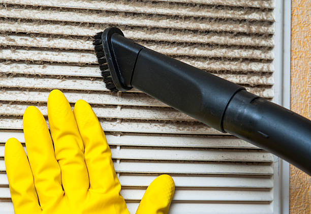 Best Residential Air Duct Cleaning  in Pepeekeo, HI