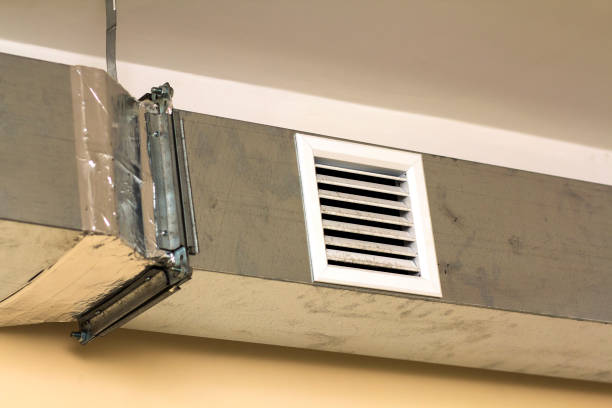 Best Affordable Air Duct Cleaning  in Pepeekeo, HI